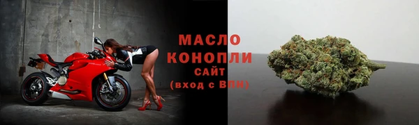 тгк Абаза