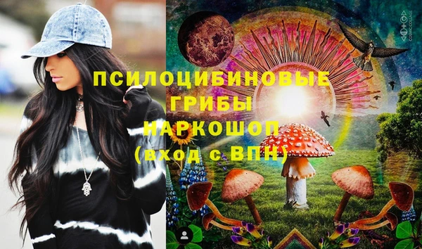 spice Абинск