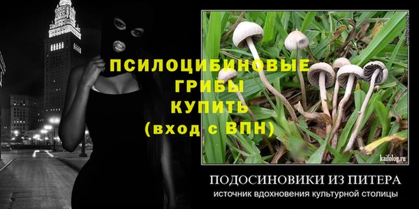 бутират Сосновый Бор